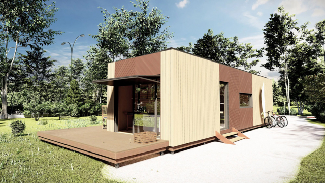 ELEMENTS-TIMELESS-35-05